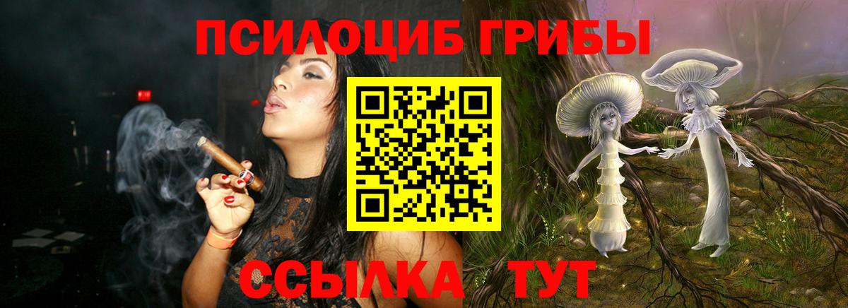 Псилоцибиновые грибы Magic Shrooms Канаш